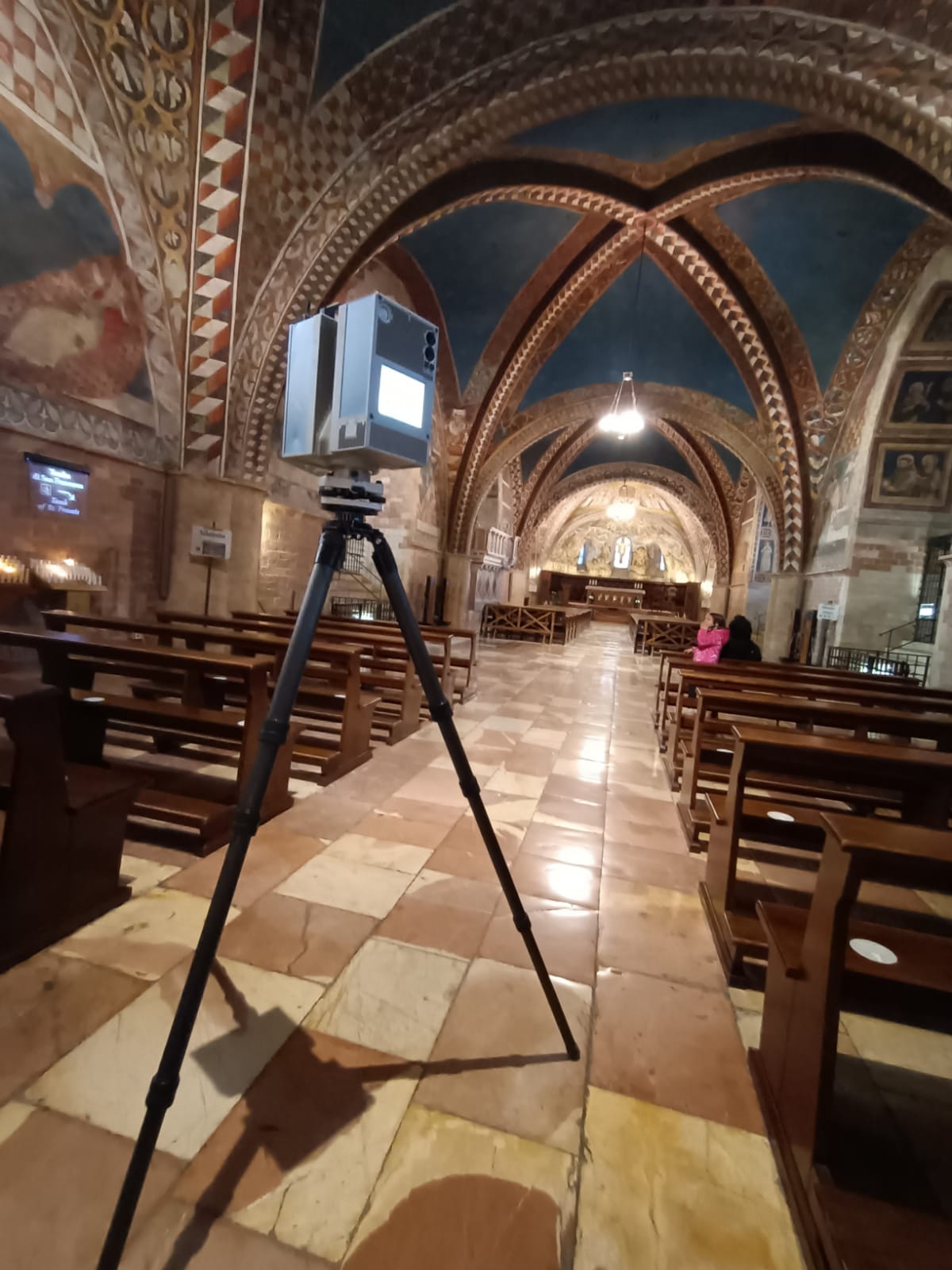 Basilica inferiore San Francesco, Cappella San Martino